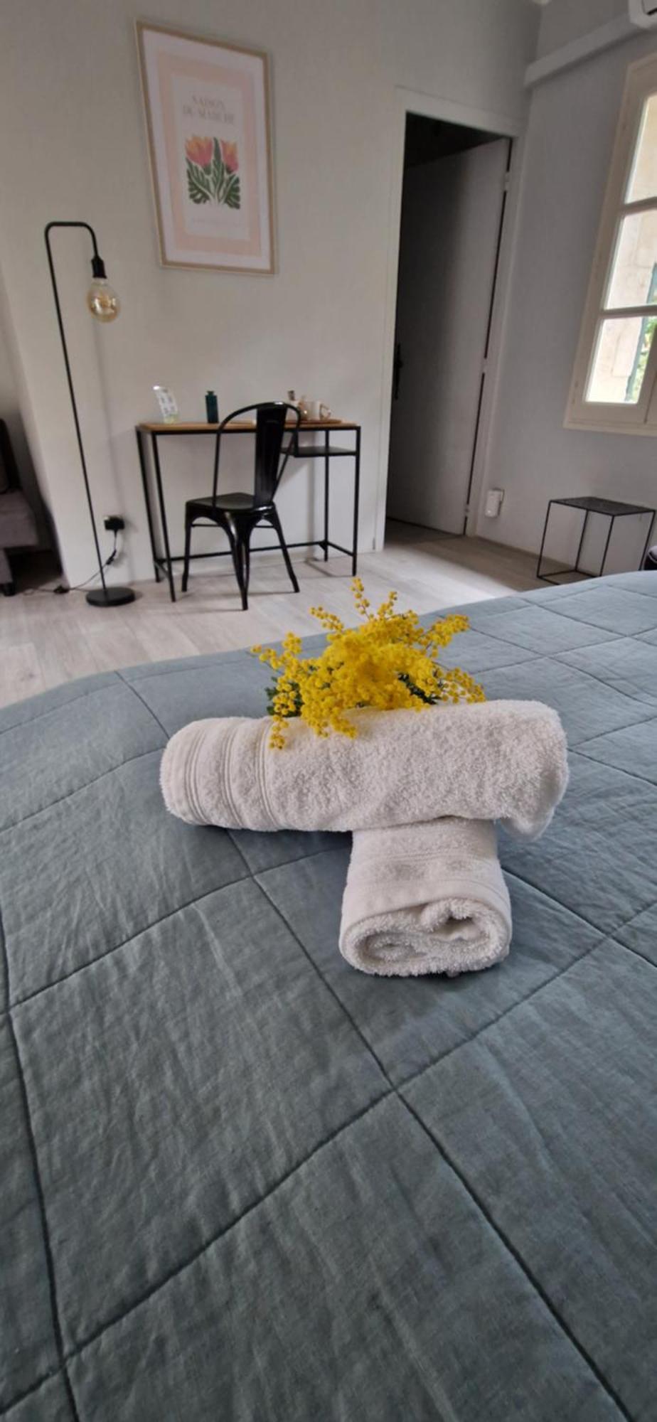 Mas Armelin Bed & Breakfast Tarascon Phòng bức ảnh